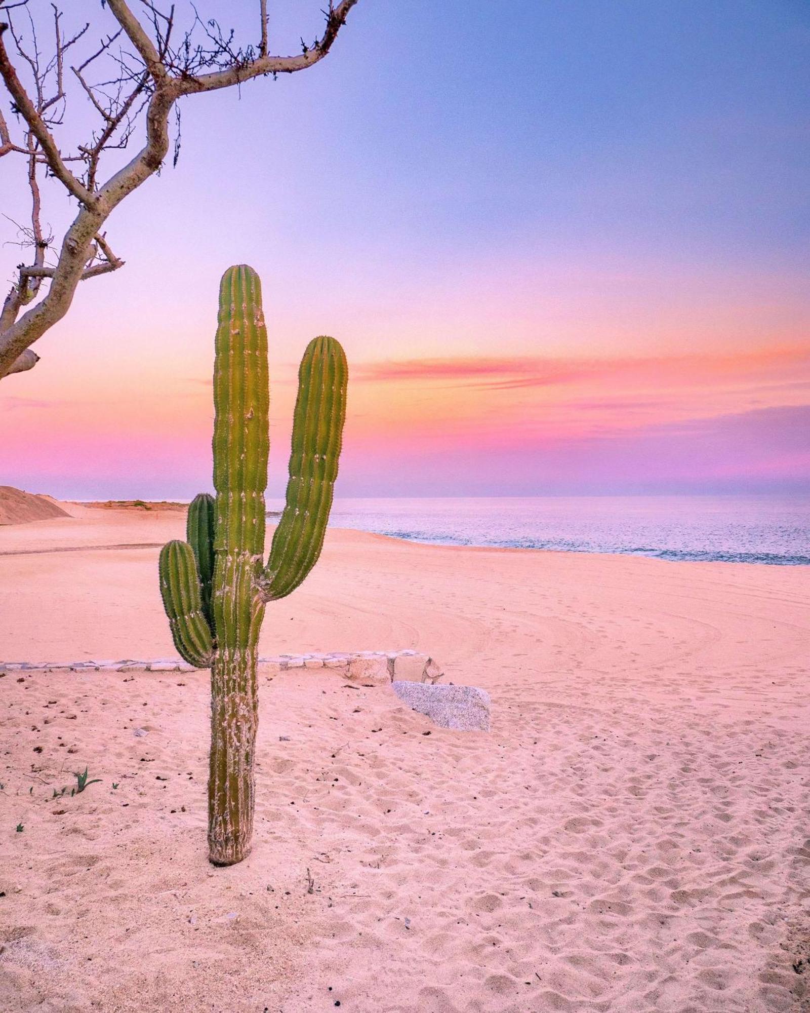 Park Hyatt Los Cabos At Cabo Del Sol Hotel Cabo San Lucas Luaran gambar